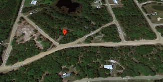 0 Christy Unit @ Robins Rd., Interlachen, FL 32148