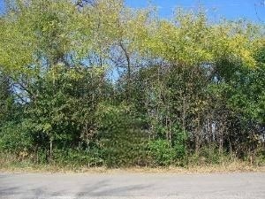 0 151st & MacGregor St Unit MRD11873272, Lockport, IL 60441
