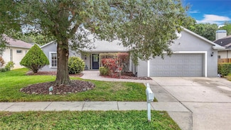 3001 Regal Oaks Blvd, Palm Harbor, FL 34684