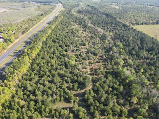 0 U S 231, Alford, FL 32420