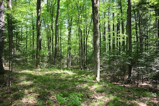 1626 St Rt 28, Johnsburg, NY 12843