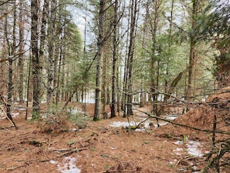 5912 W Twin Lake Rd, Minocqua, WI 54531