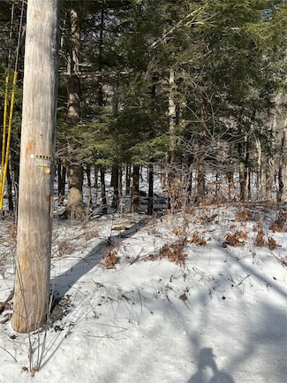 0 Frost Valley Rd Unit KEY819184, Claryville, NY 12572
