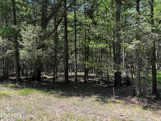Lot 826 Fawn Rd and Lot 824 Pine Creek Rd, Hawley, PA 18428