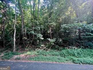 LOT 13 Chalet Dr, Sautee Nacoochee, GA 30571