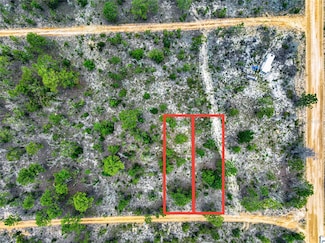 0 Lime Way, Interlachen, FL 32148