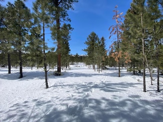 11294 Roundup Unit Ct, Lead, SD 57754