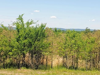 Lot D E 1630 Rd, Talihina, OK 74571