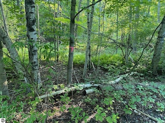 0 Allegheny Trail Unit Mult., Evart, MI 49631