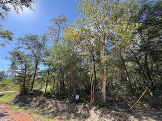Lot 244 Mehringer Rd, Shepherd, TX 77371