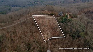 Lot 7 Ada Ridge Rd, Mineral Bluff, GA 30559