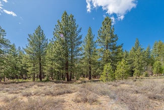 11690 Bottcher Loop, Truckee, CA 96161