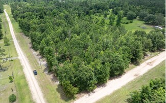 TBD Shalimar Trail (#27), Lee, FL 32059