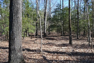 4051 Hard Scrabble Rd, Columbia, SC 29223