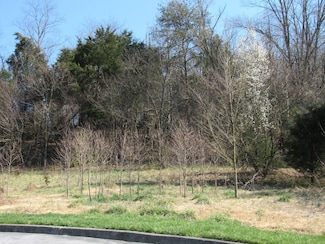 Lot 3 Lockport Cir, Kingsport, TN 37664