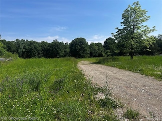 9339 Spicer Rd, Brighton, MI 48116