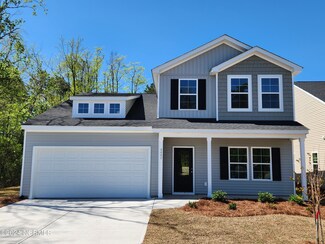 4442 Parsons Mill Dr Unit Lot 128, Castle Hayne, NC 28429