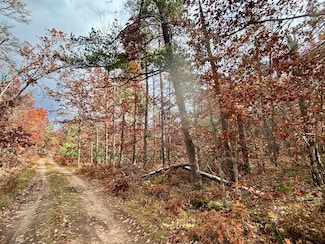 2588 N Red Oak Rd, Lewiston, MI 49756