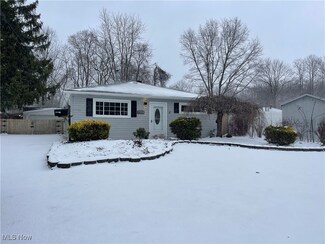 4837 Willowbrook Dr, Mentor, OH 44060