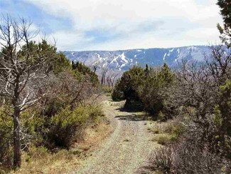 49339 Coon Creek Rd, Mesa, CO 81643