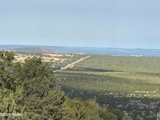60 County Rd Unit Lot 15, Vernon, AZ 85940