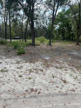 7194 Quail St, Florahome, FL 32140