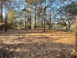 1555 Hwy 177a, Bonifay, FL 32425