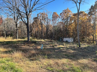 3102 Old Forge Rd, Callaway, VA 24067