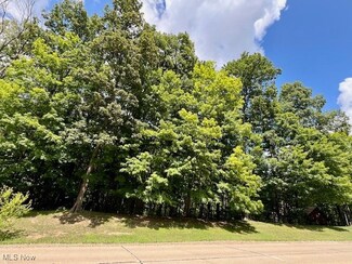 0 Reserve Dr, Medina, OH 44256
