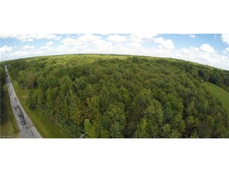7925 Sumner Rd, Thompson, OH 44086
