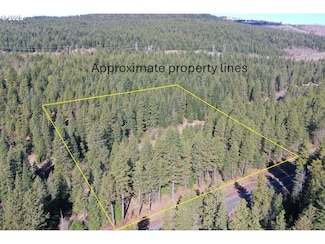0 Hwy 97 Hwy Unit 228686083, Goldendale, WA 98620