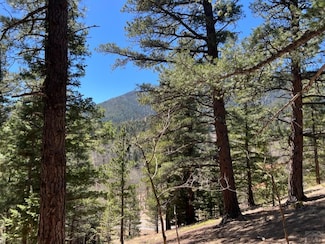 000 Lake Isabel Dr, Rye, CO 81069