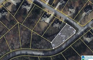 320 Bent Creek Way Unit 22, Chelsea, AL 35043