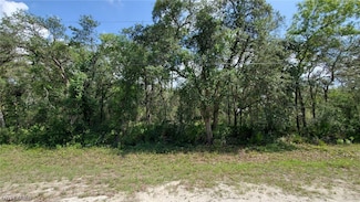 35017 Primrose Ln, Webster, FL 33597