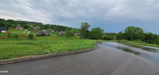 2329 Louisiana Ct, Seymour, TN 37865