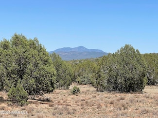 39303 N Bullock Rd, Ash Fork, AZ 86320