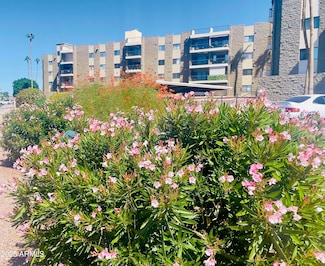 425 S Parkcrest Unit 322, Mesa, AZ 85206