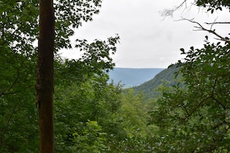 0 Pine Knot Pass Unit 1514417, Jasper, TN 37347