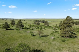 4625 County Road 124, Elizabeth, CO 80107