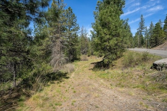 5625 E Grouse Rd, Chattaroy, WA 99003