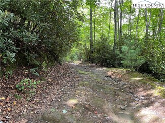 000 Lyons Rd, Roaring Gap, NC 28668