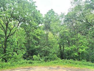 4 Hillside Ct, Galena, IL 61036