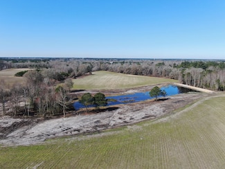 0 Jim Meeks Road Tract Unit 3, Nicholls, GA 31554