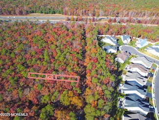 1 Elsiah St, Forked River, NJ 08731