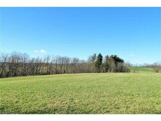 0 Township Road 1400 Unit 3883248, Jeromesville, OH 44840