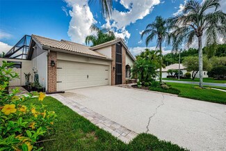 5450 Greyston St, Palm Harbor, FL 34685