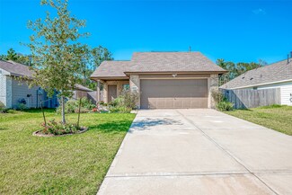 22219 Birchfield Grove Ln, New Caney, TX 77357