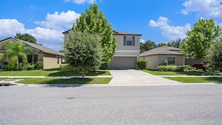 10144 Carloway Hills Dr, Wimauma, FL 33598