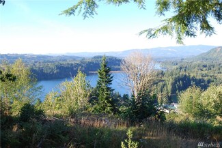129 Pinewood Ln, Mossyrock, WA 98564