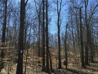 0 Blott Rd, North Jackson, OH 44451
